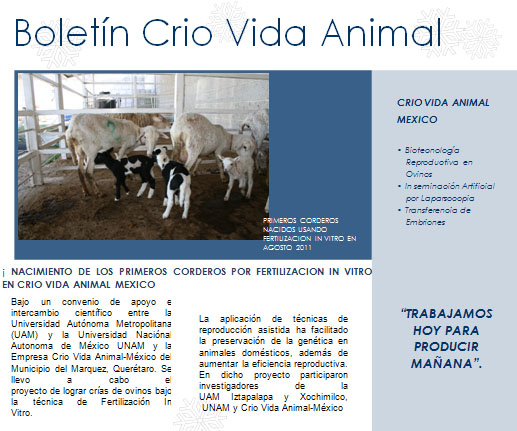 Boletin Crio vida animal Mexico